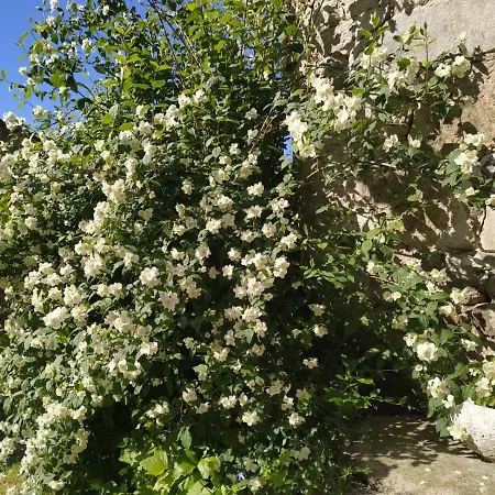 Casa Roan Y Casa Grande Лодосо